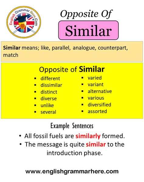 foiblelist|FOIBLE Synonyms: 38 Similar and Opposite Words